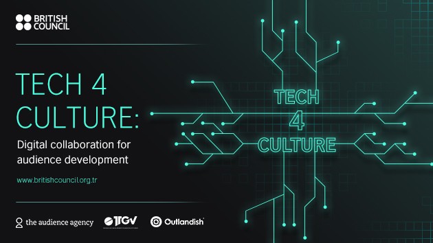 12 domains of culture technology and