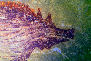 UN Year of Creative Economy for Sustainable Development World’s oldest cave painting, discovered January 2021, Indonesia, Science Advances © A. A. Oktaviana, ARKENAS/Griffith University licensed under CC BY-NC 4.0